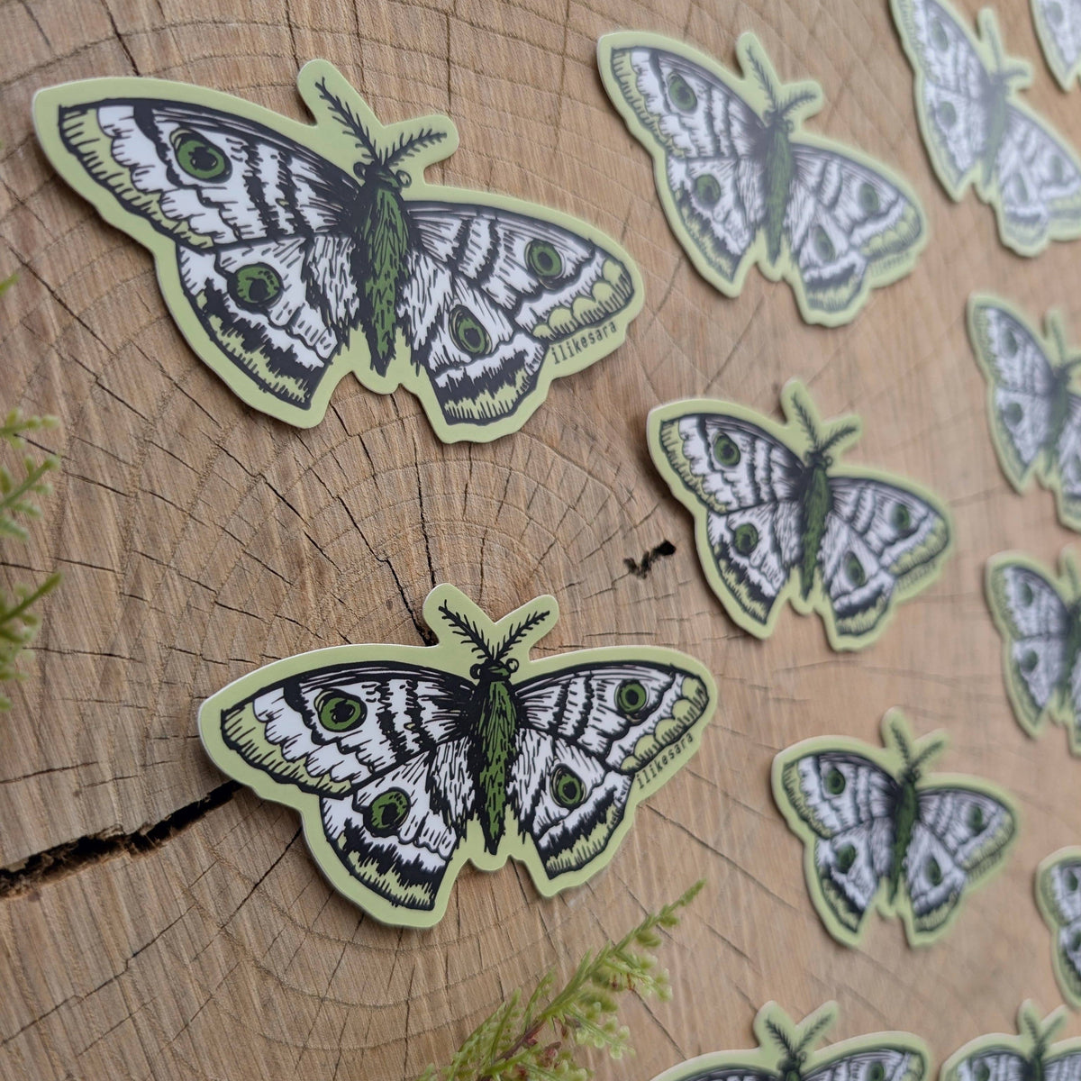 Sticker | polyphemus moth - waterproof uv-resistant vinyl bug / insect decal