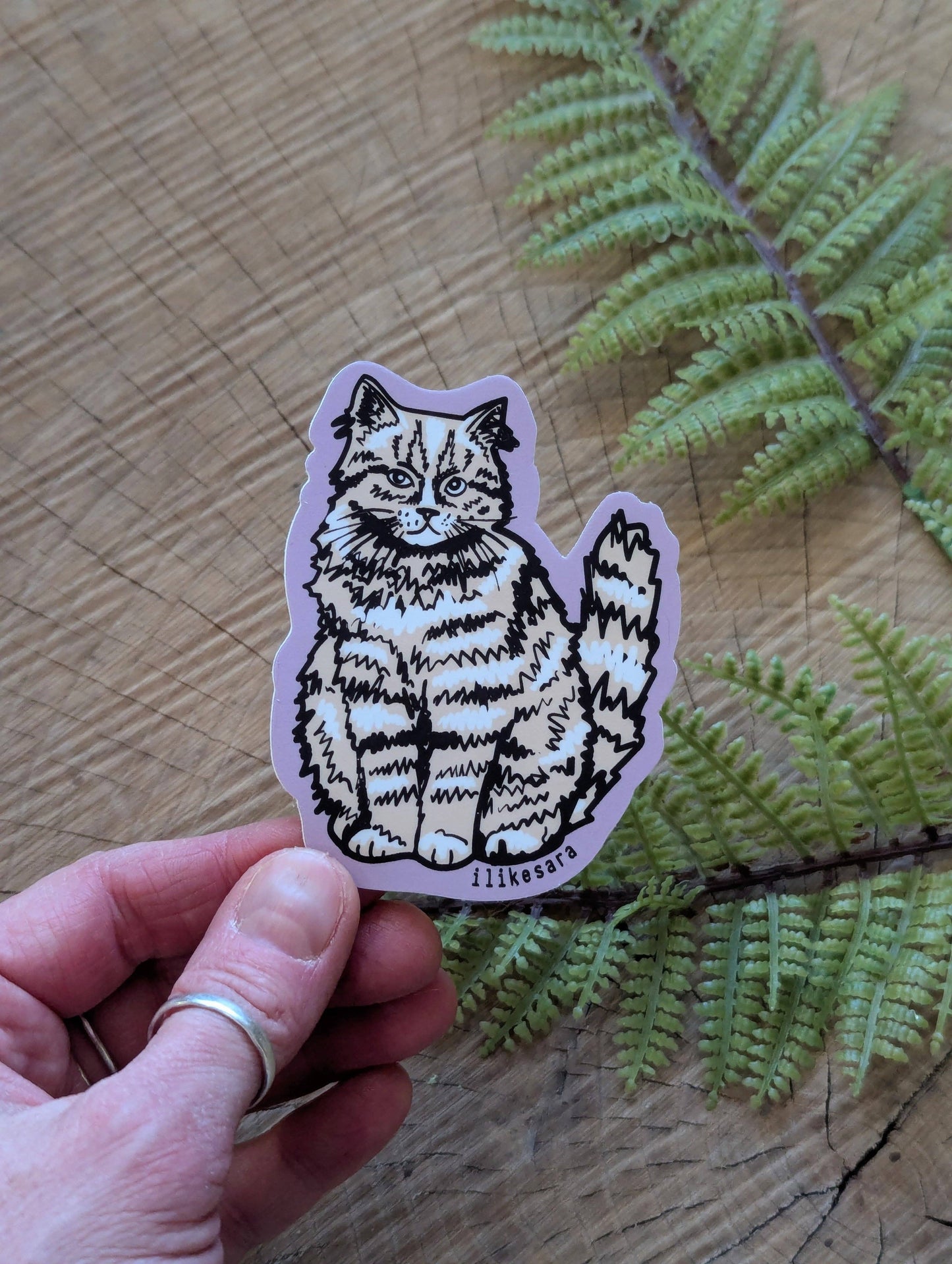 ilikesara | art + goods - Sticker | sitting fluffy tan cat - waterproof uv-resistant vinyl kitty decal