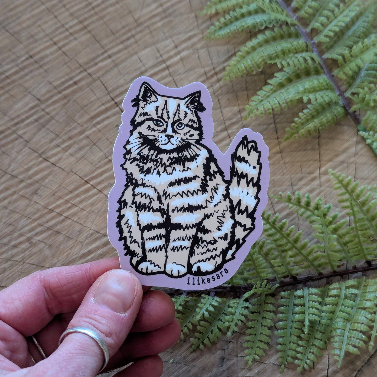 Sticker | sitting fluffy tan cat - waterproof uv-resistant vinyl kitty decal