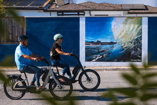 Gazelle Easyflow C7 Electric Bike