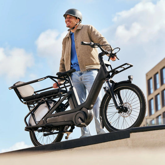 Urban Arrow Breeze Single Pannier