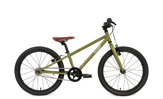 Cleary Owl Single-Speed 20-Inch Kids' Bike