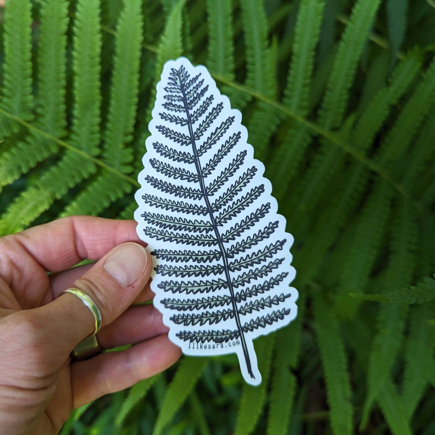 ilikesara | art + goods - Sticker | wood fern - waterproof uv-resistant vinyl plant decal