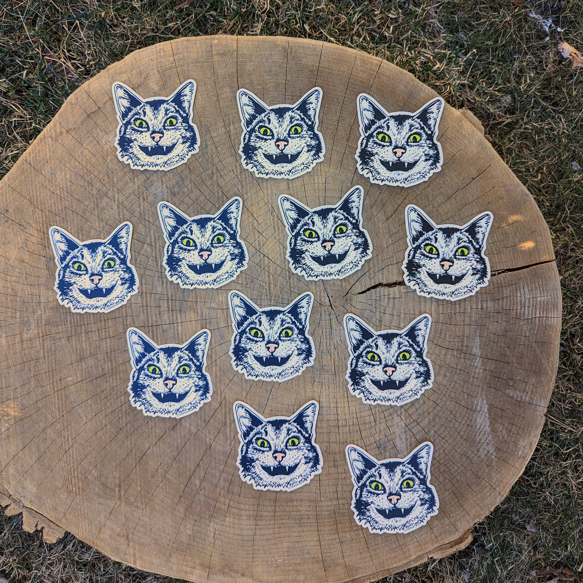Sticker | cat face - waterproof uv-resistant vinyl Western kitty decal