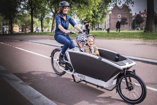 Urban Arrow Family Electric Cargo Bike Performance Motor