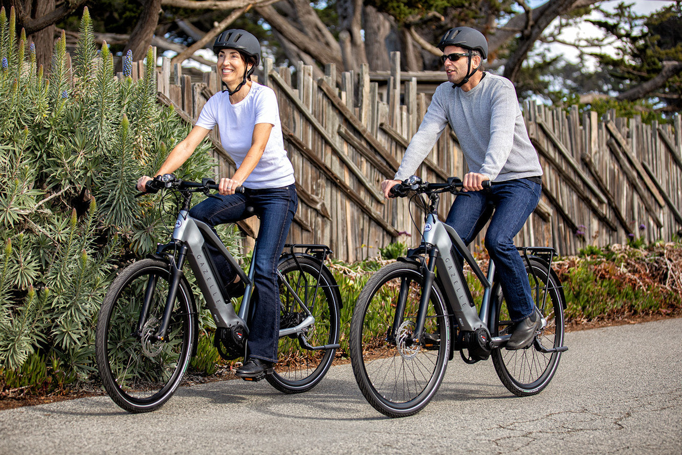 Electric Bikes