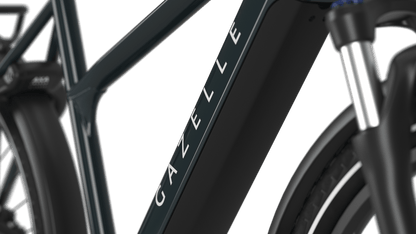 Gazelle Medeo T10 Limited Edition - 28" S10