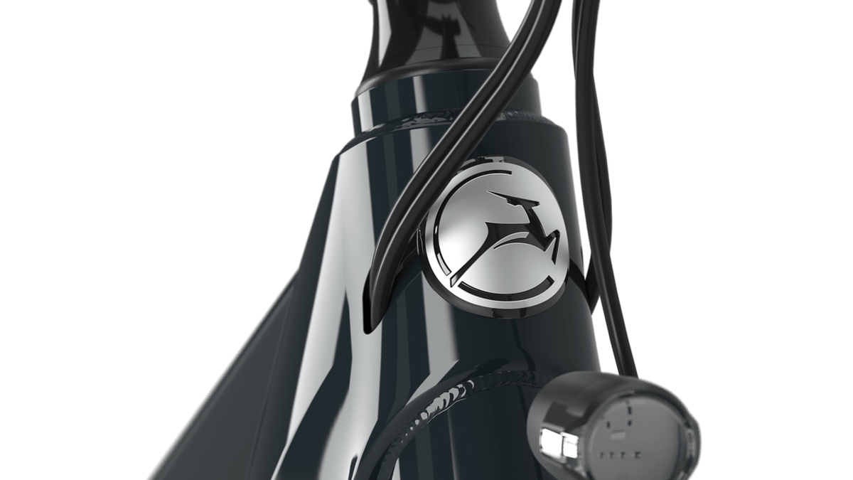 Gazelle Medeo T10 LTD - Performance meets Style in Cycling Gazelle Medeo T10 LTD - Performance meets Style in Cycling
