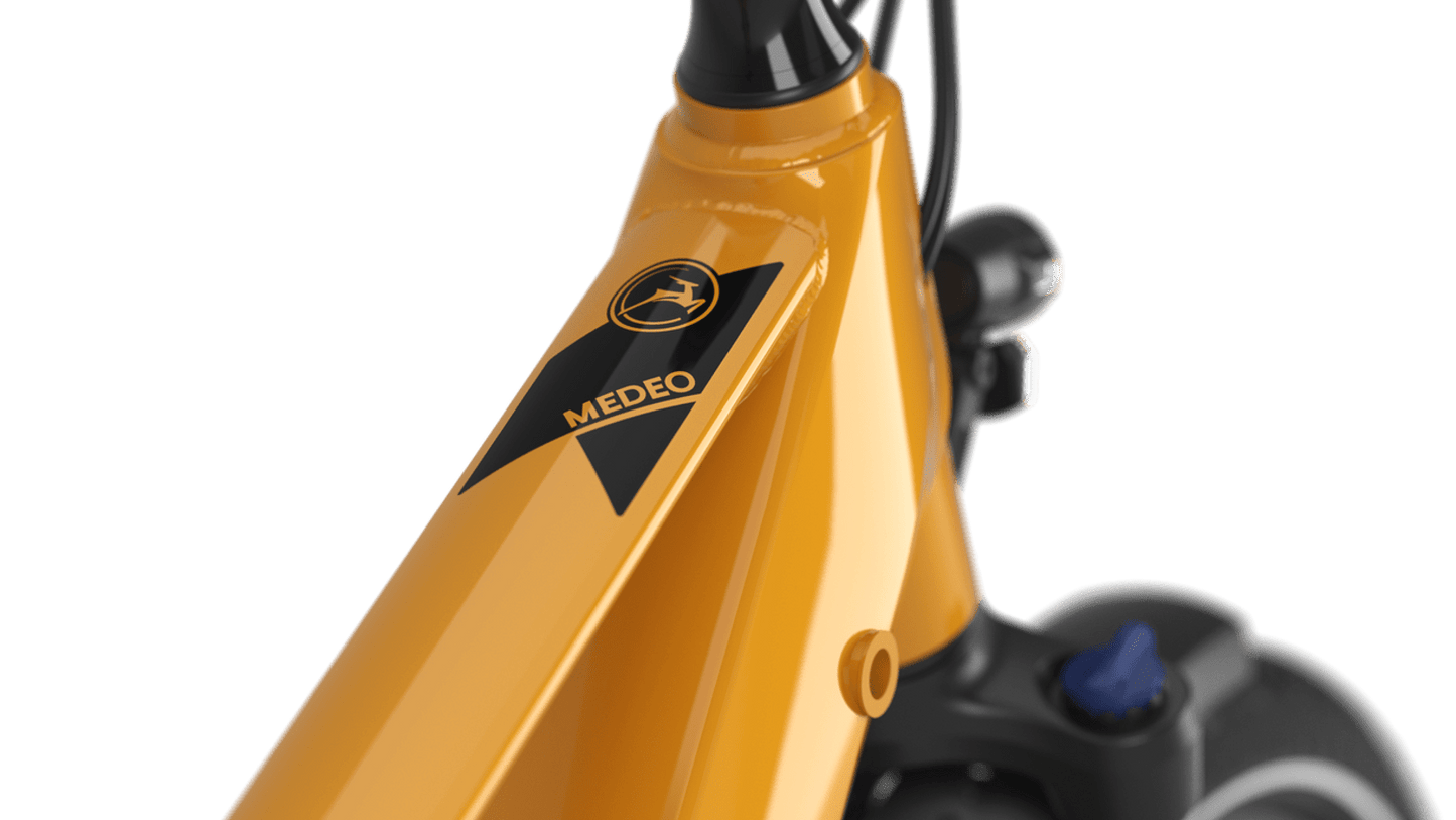 Gazelle Medeo T10 Limited Edition - 28" S10