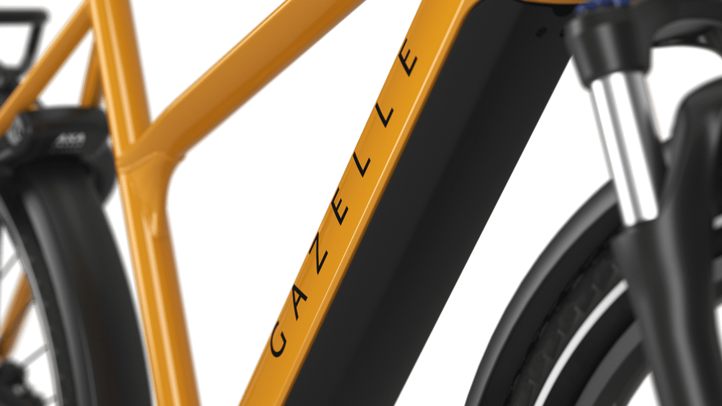 Gazelle Medeo T10 Limited Edition - 28" S10