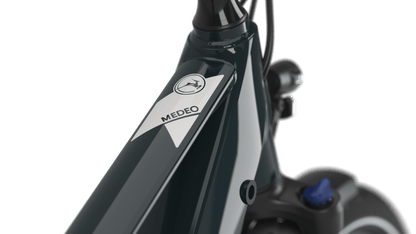 Gazelle Medeo T10 Limited Edition - 28" S10