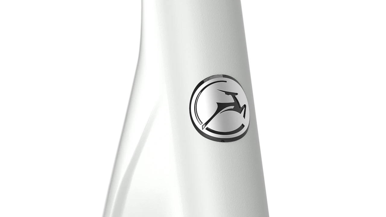 Gazelle Avignon C380 Electric City Bike