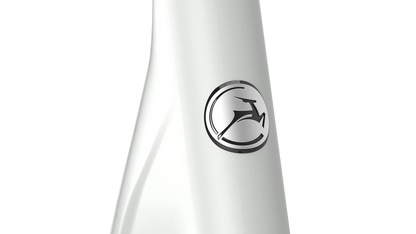 Gazelle Avignon C380 Electric City Bike