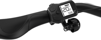 Gazelle Easyflow C7 Electric Bike