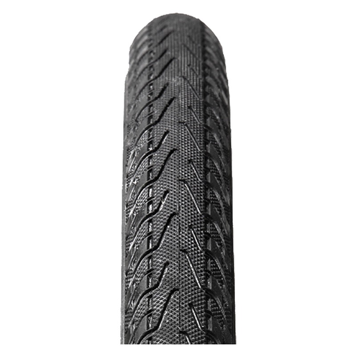 Panaracer Pasela Protite tire, wire bead