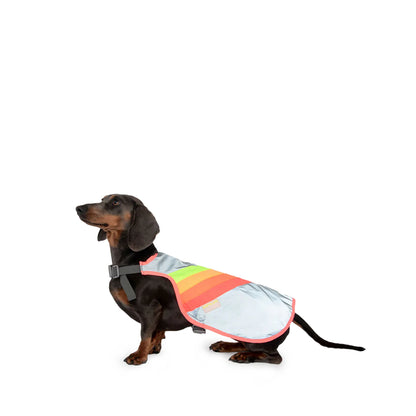 GOFLUO Luna Reflective Dog Vest