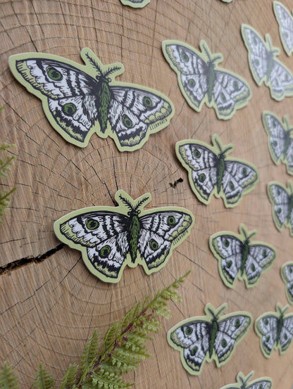 ilikesara | art + goods - Sticker | polyphemus moth - waterproof uv-resistant vinyl bug / insect decal