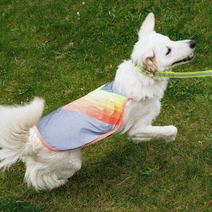 GOFLUO Luna Reflective Dog Vest