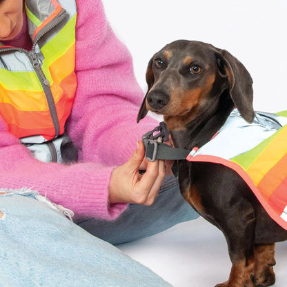 GOFLUO Luna Reflective Dog Vest