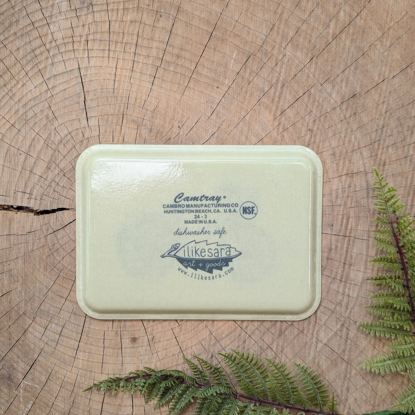 ilikesara | art + goods - Fiberglass tray | bike with fern - cream vintage bicycle 7" x 5" dishwasher safe