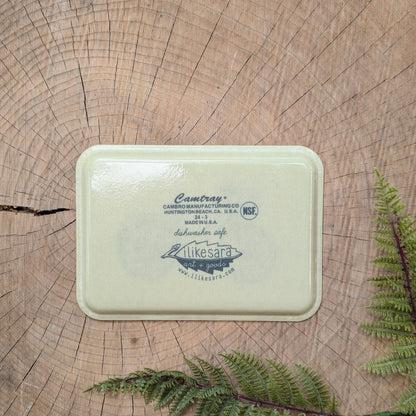 ilikesara | art + goods - Fiberglass tray | bike with fern - cream vintage bicycle 7" x 5" dishwasher safe