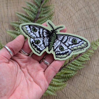 ilikesara | art + goods - Sticker | polyphemus moth - waterproof uv-resistant vinyl bug / insect decal
