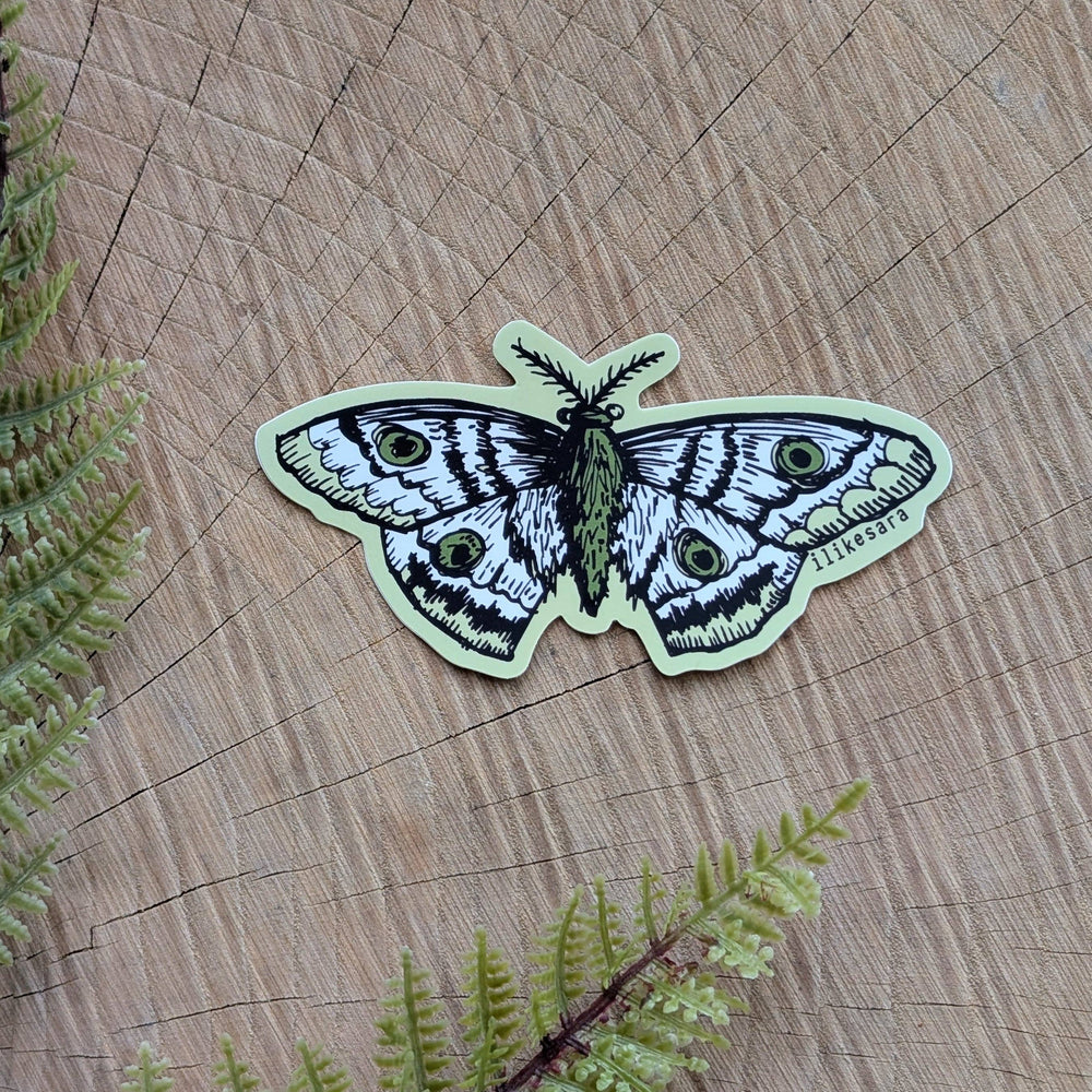 ilikesara | art + goods - Sticker | polyphemus moth - waterproof uv-resistant vinyl bug / insect decal