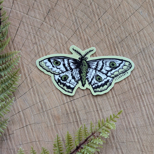 ilikesara | art + goods - Sticker | polyphemus moth - waterproof uv-resistant vinyl bug / insect decal
