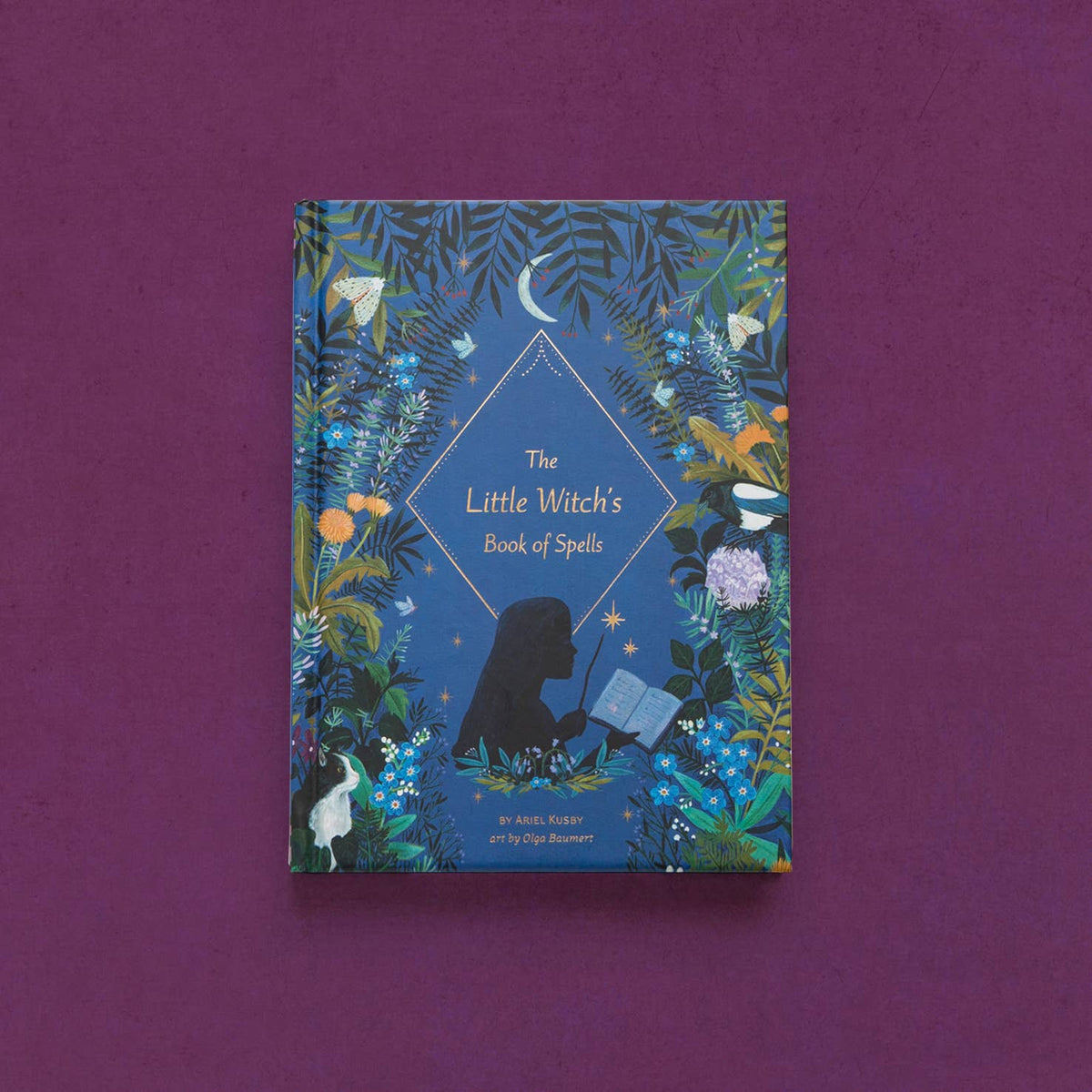 The Little Witch's Book of Spells