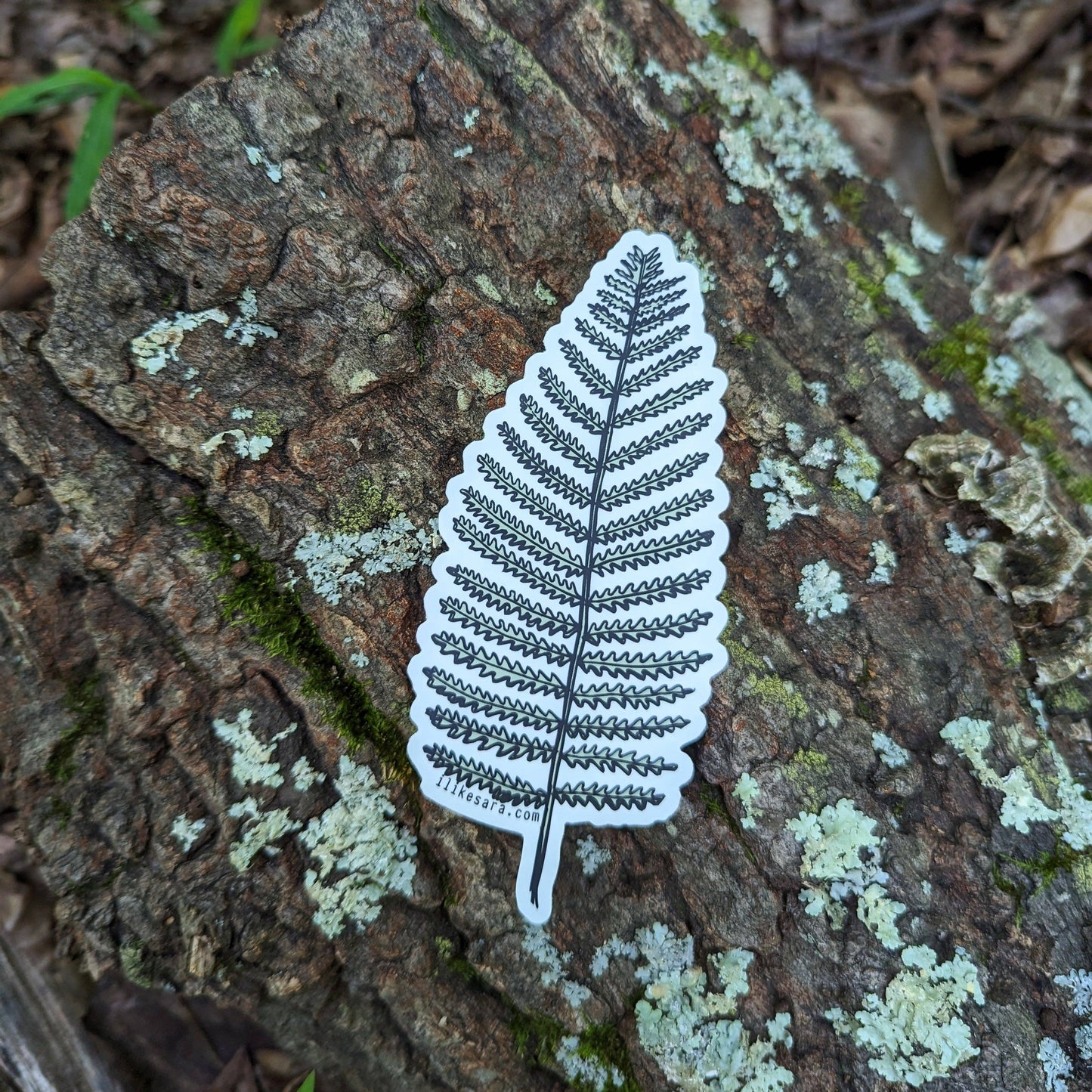ilikesara | art + goods - Sticker | wood fern - waterproof uv-resistant vinyl plant decal