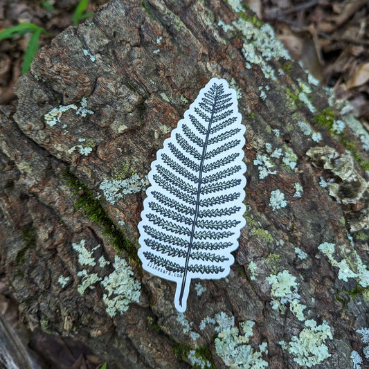 ilikesara | art + goods - Sticker | wood fern - waterproof uv-resistant vinyl plant decal