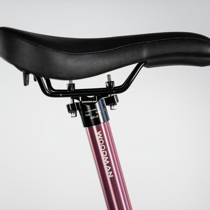Brompton C Line 12 Speed K-pop Show Pony Omakase Bike