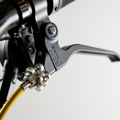 Brompton T Line 4 Speed Stardust Sea Otter Custom Shop Limited Edition Show Bike
