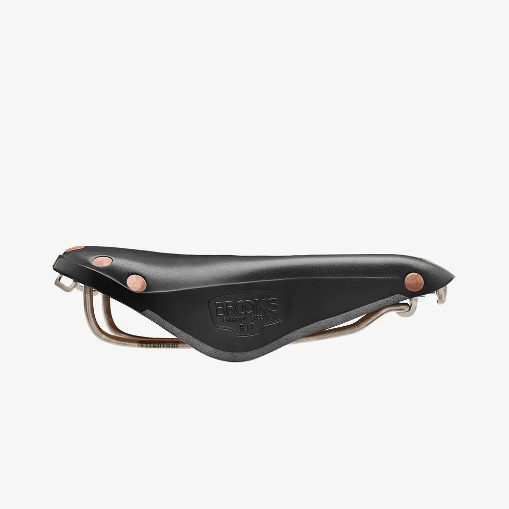 Brooks B17 Special Leather Saddle, Titanium