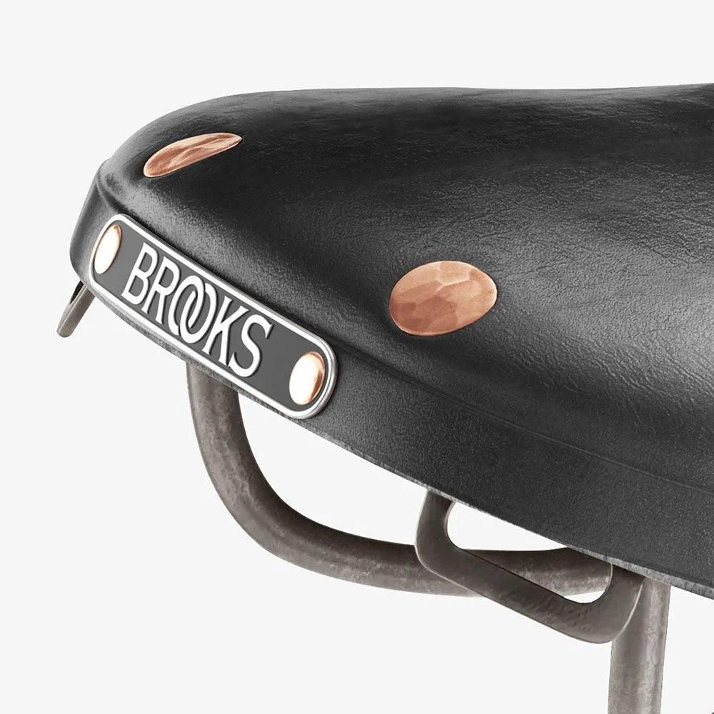 Brooks B17 Special Leather Saddle, Titanium