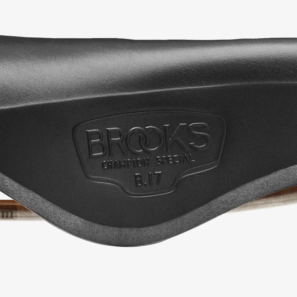 Brooks B17 Special Leather Saddle, Titanium