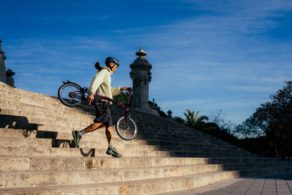 Brompton C Line 12 Speed