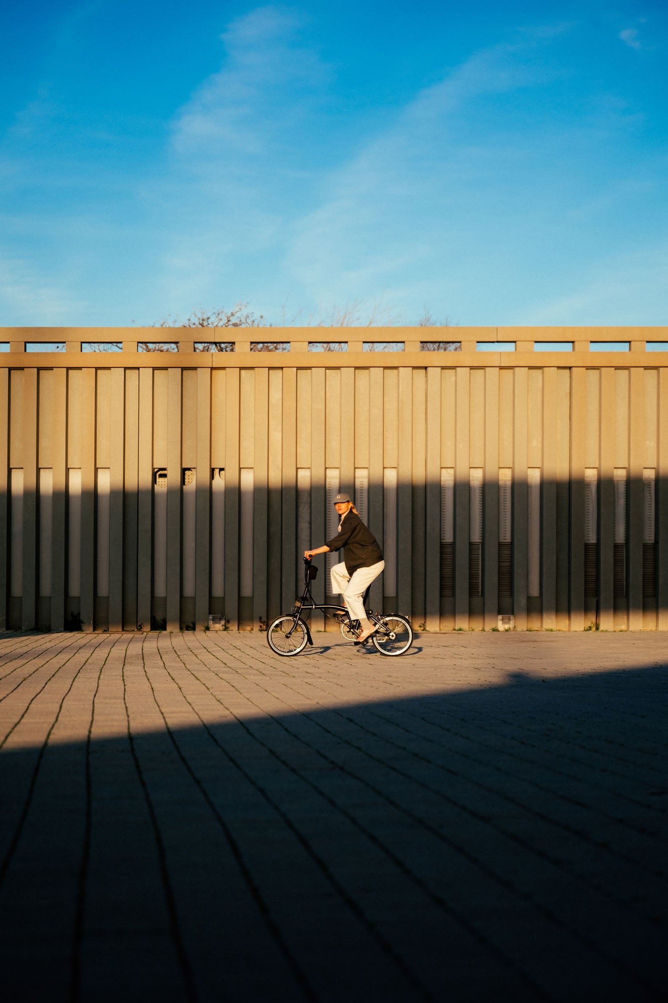 Brompton C Line 12 Speed