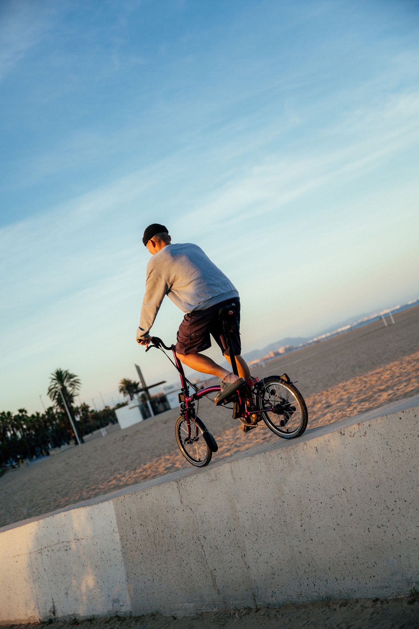 Brompton C Line 12 Speed