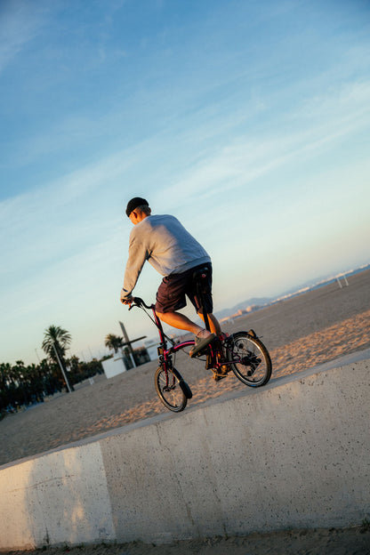 Brompton C Line 12 Speed