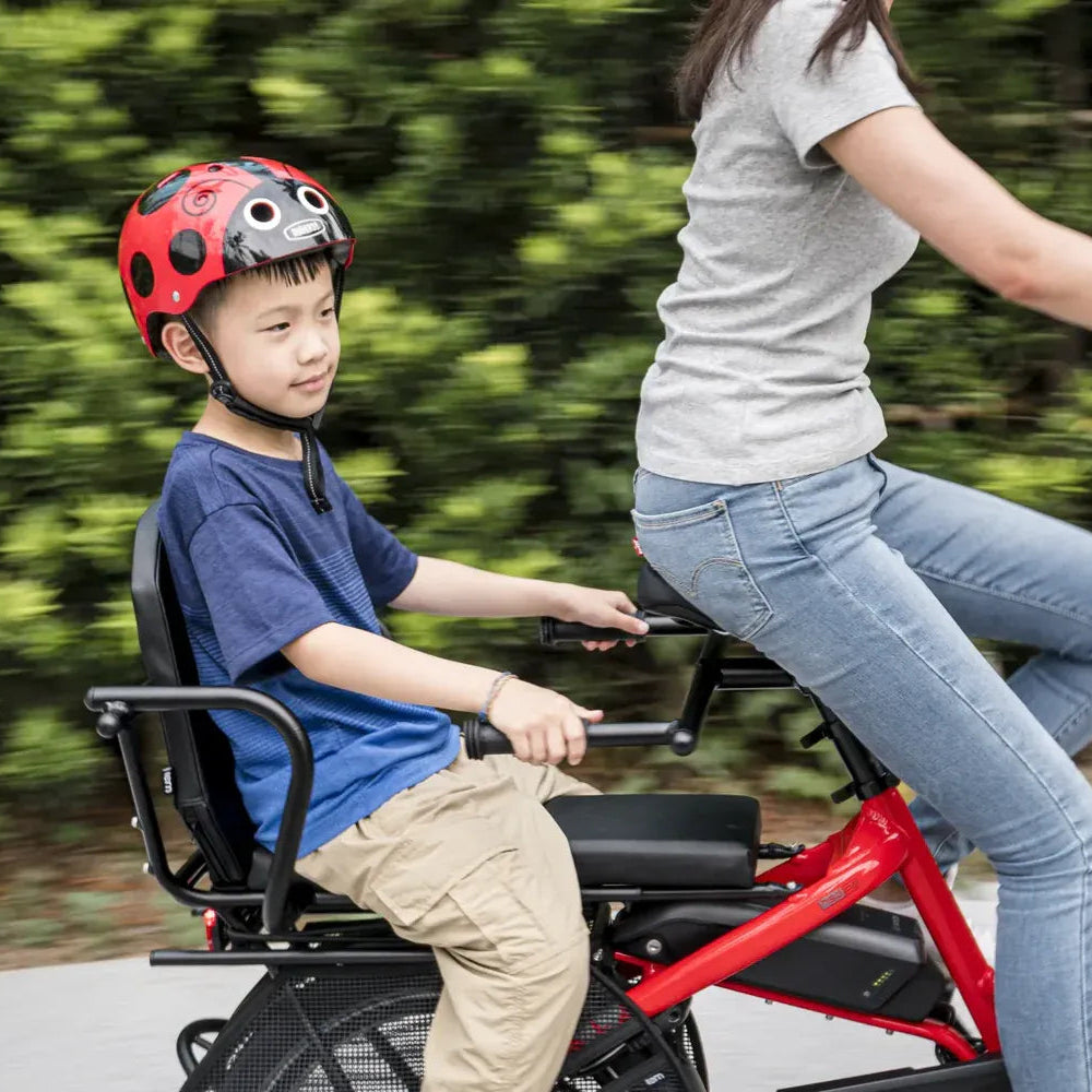 Tern Sidekick Joyride Backswept Passenger Bars (GEN 3) - GSD Gen 3 Compatible