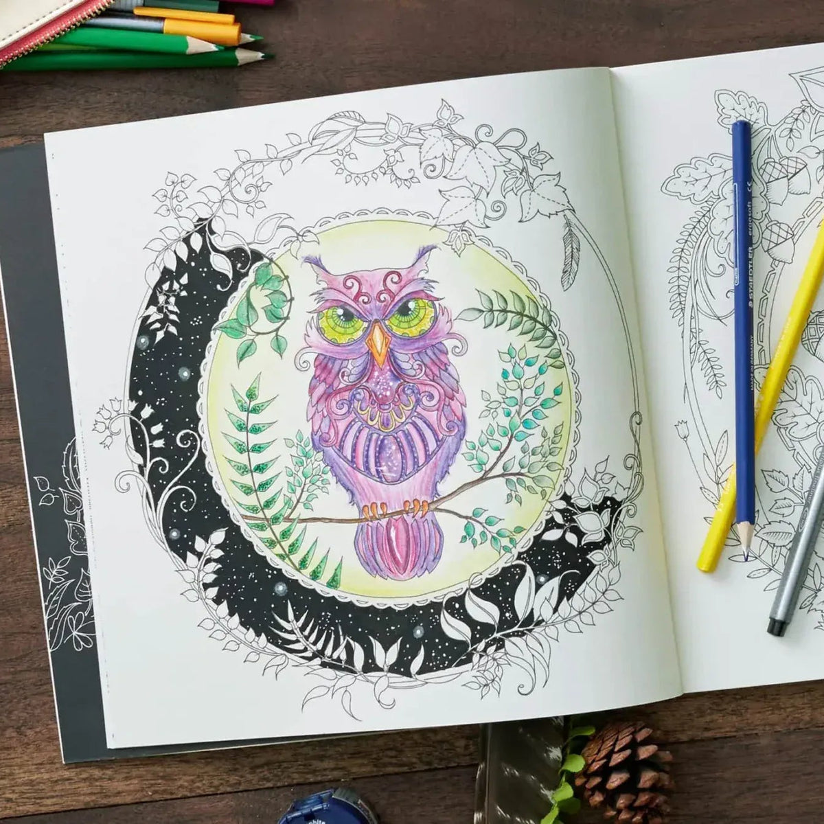 Enchanted Forest Coloring Book