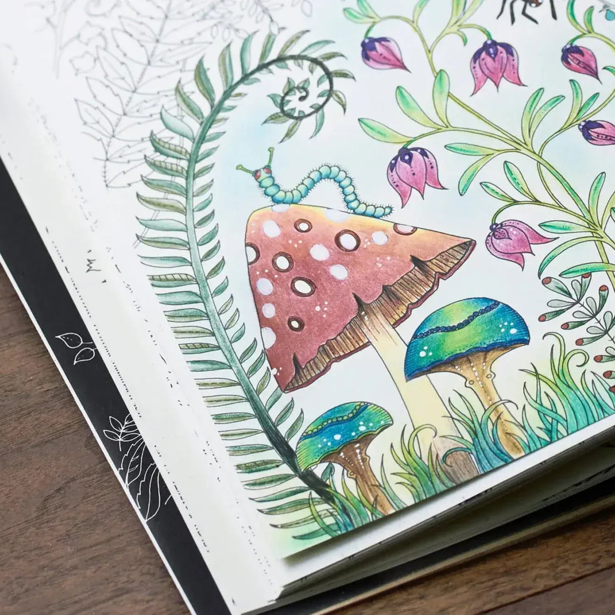 Enchanted Forest Coloring Book