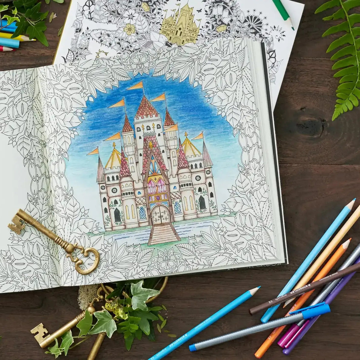 Enchanted Forest Coloring Book