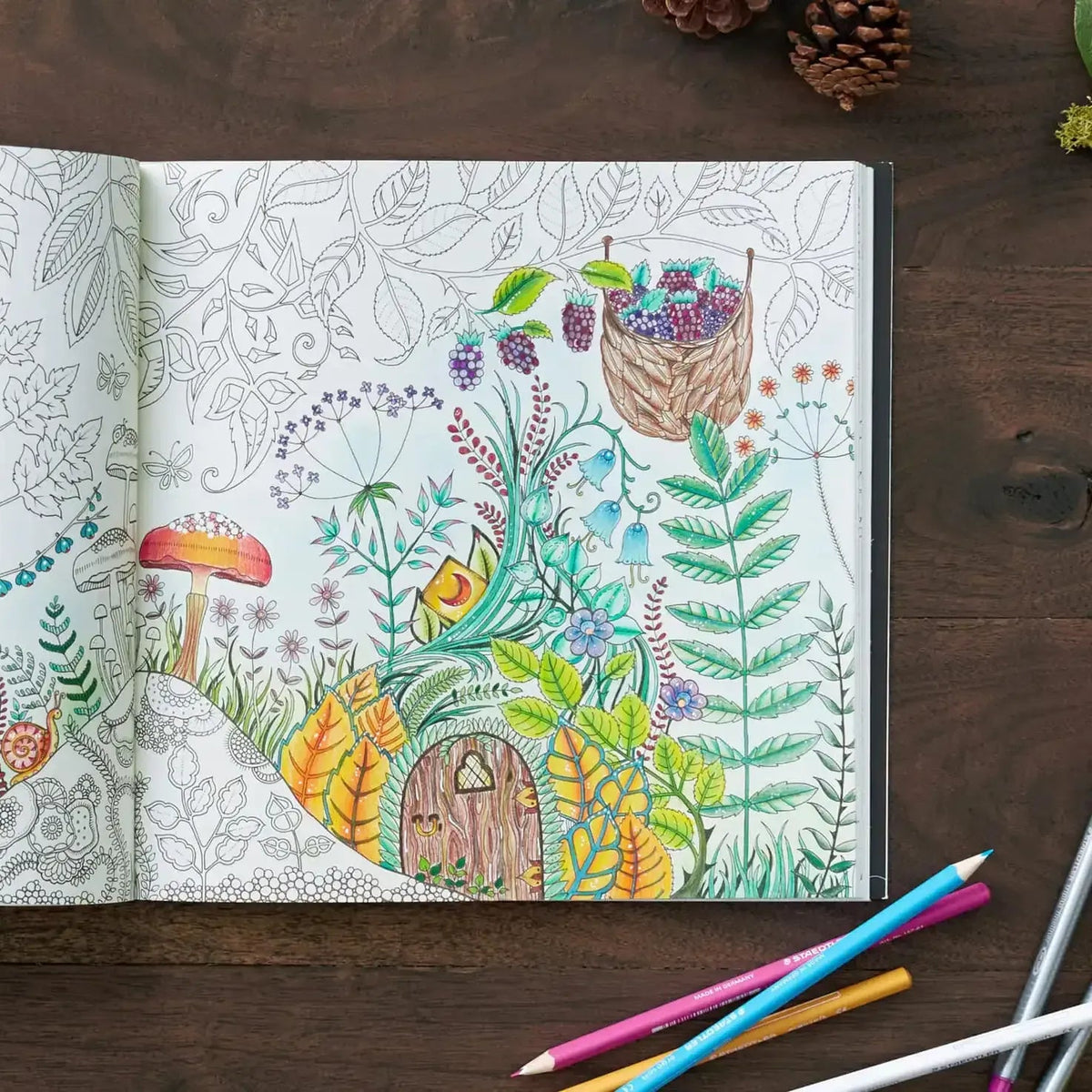 Enchanted Forest Coloring Book