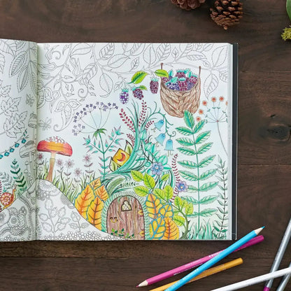 Enchanted Forest Coloring Book