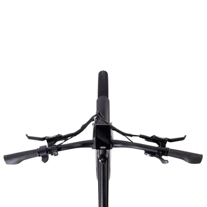 Fuji Boulevard EVO Electric Bike