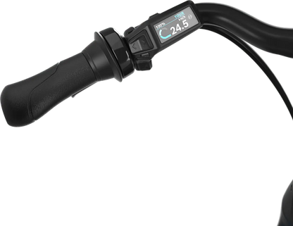 Gazelle Arroyo C5 Elite Smart System Electric City Bike