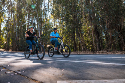 Gazelle Easyflow C7 Electric Bike