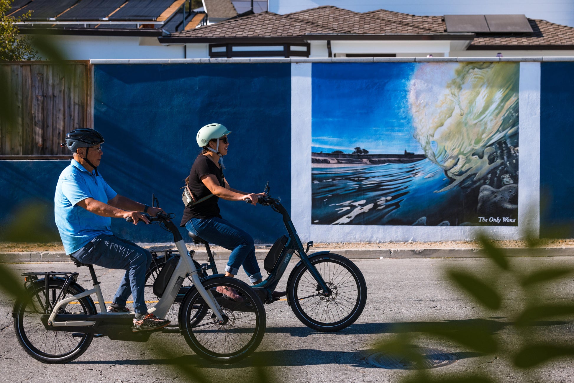 gazelle electric bicycles Gazelle Easyflow